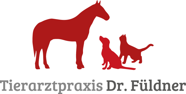 Tierarzt-Dr-Fueldner-Ellrich-logox2
